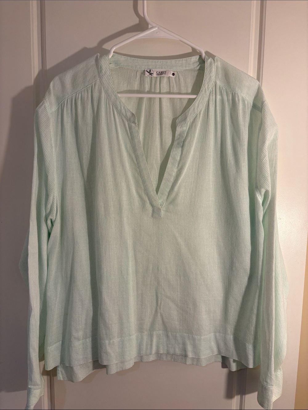Carve Designs  Pale Green Long Sleeved Vneck Blouse (L)
